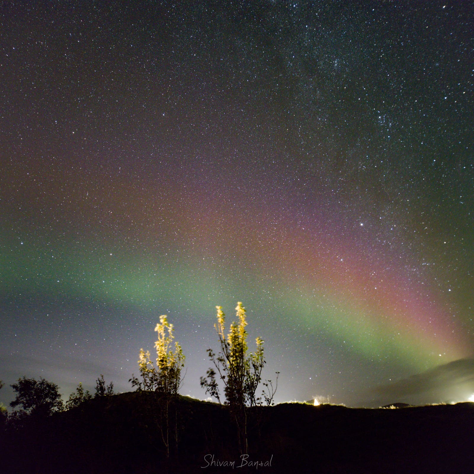 A multicolored aurora arc shifting from green to pink to red above two small trees lit by warm light.