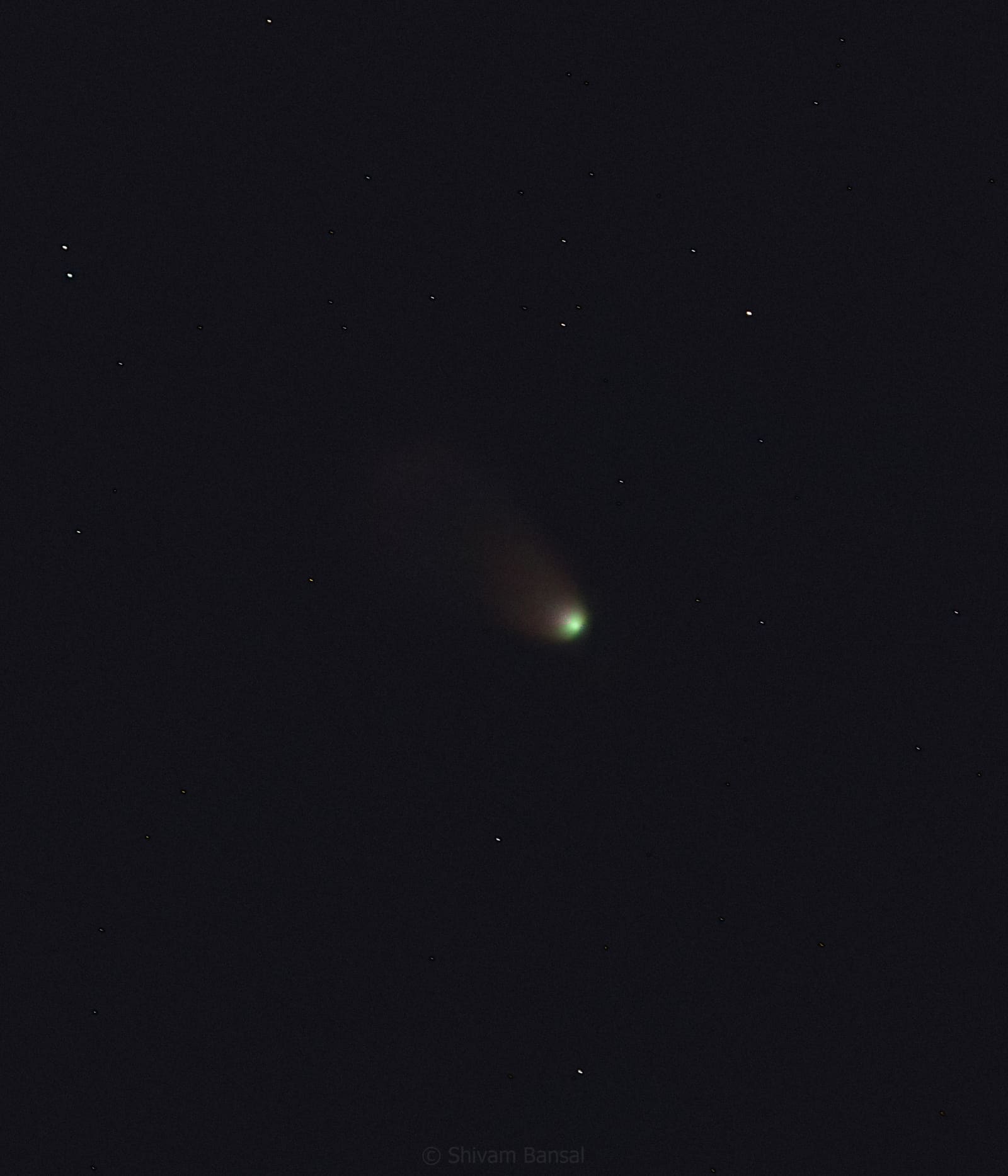 Comet Leonard as a small green-tinted glowing head with a faint diffuse tail against a dark starfield.