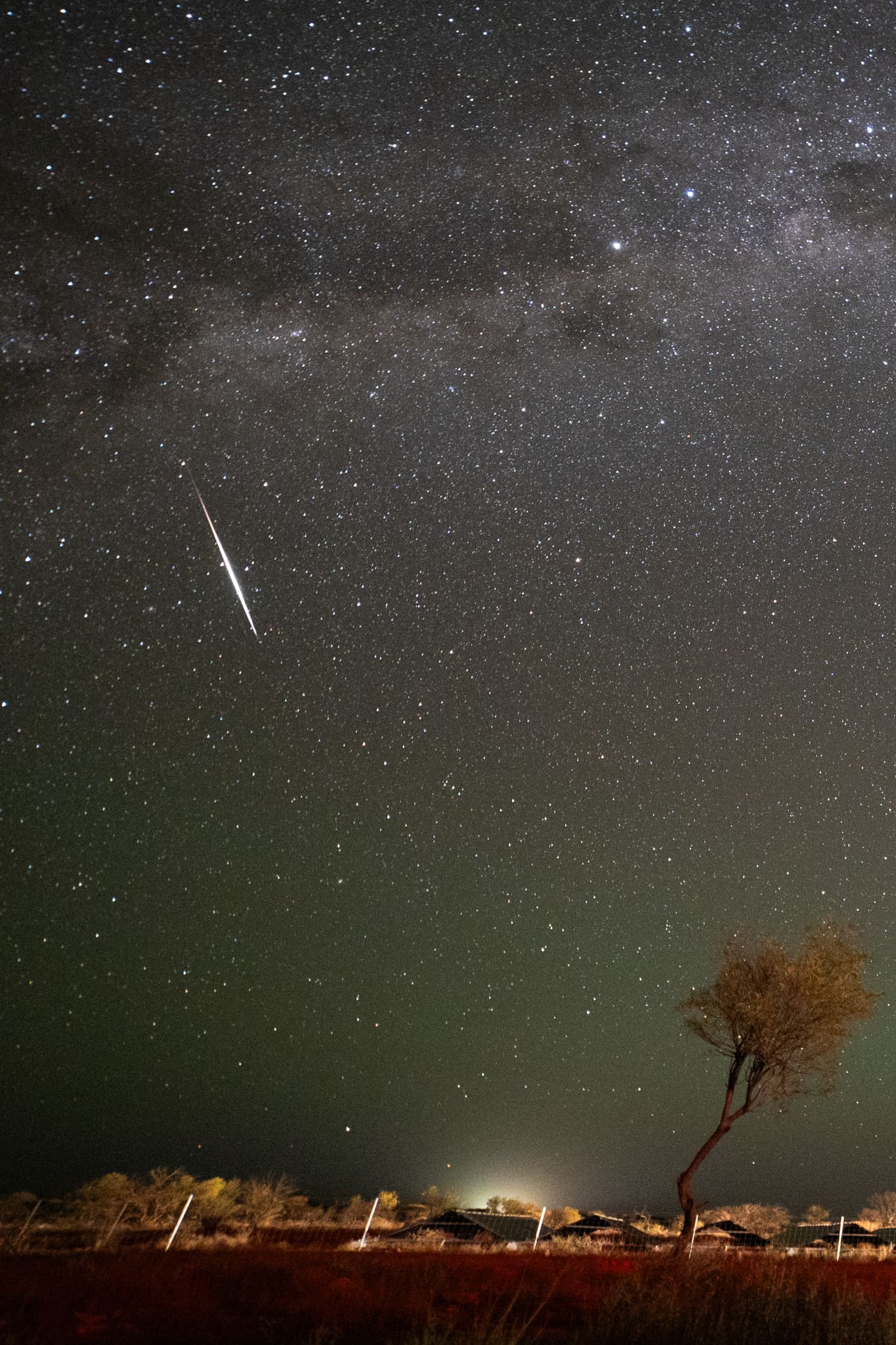 Long bright meteor trail cutting across a starry sky with the Milky Way band, a silhouetted tree, and low green airglow near the horizon.