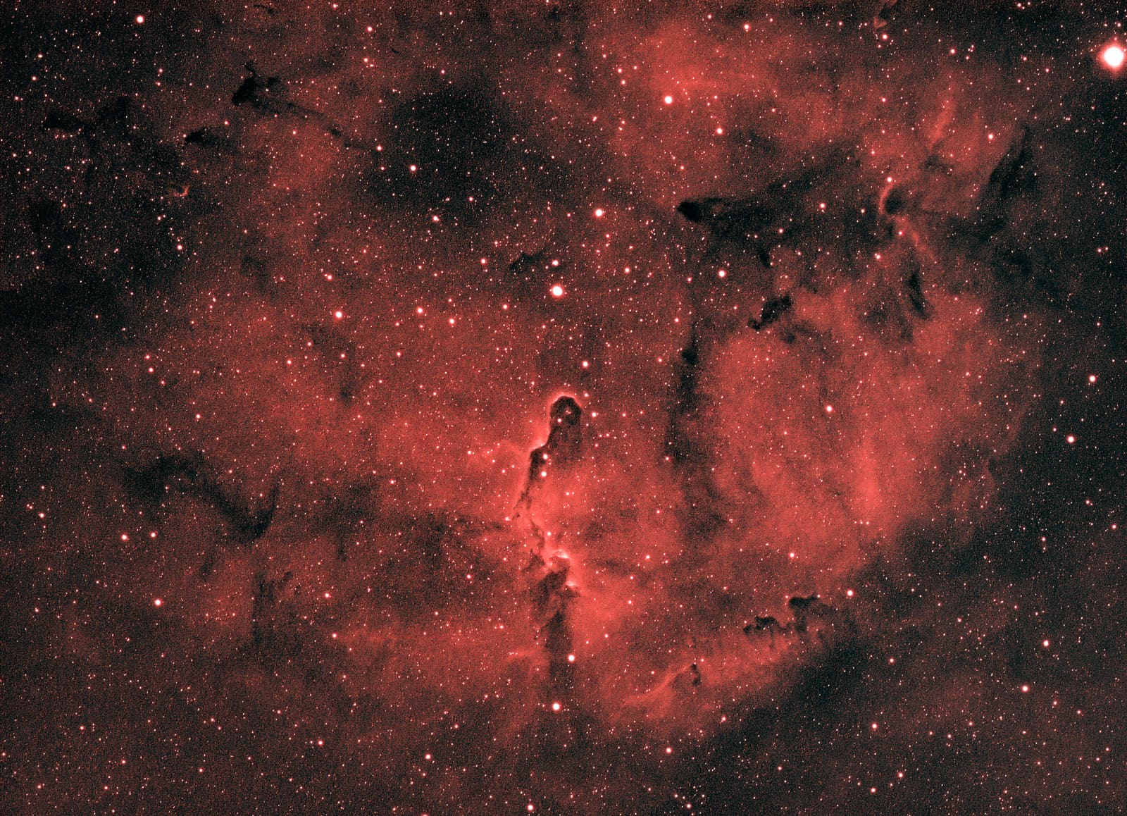 A long, dark, snaking dust formation embedded in a large area of red nebulosity, resembling an elephant's trunk.