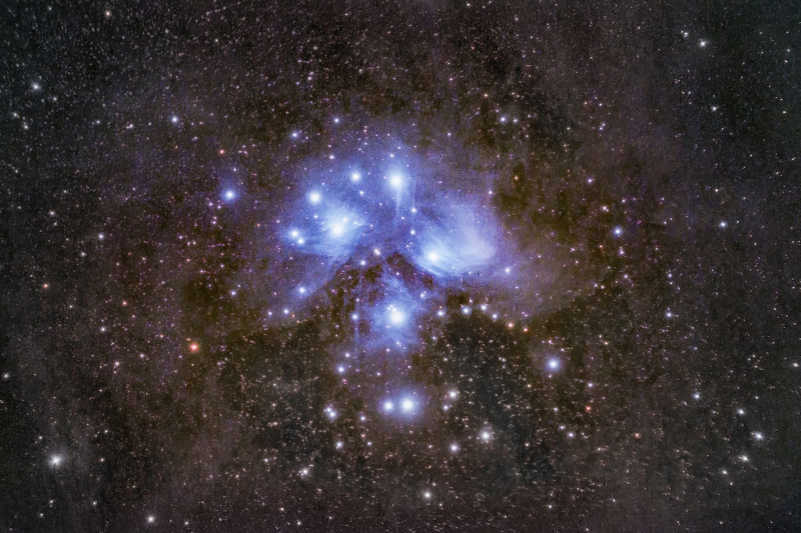 A tight group of bright blue stars surrounded by wispy blue nebulosity against a dark, dusty starfield.