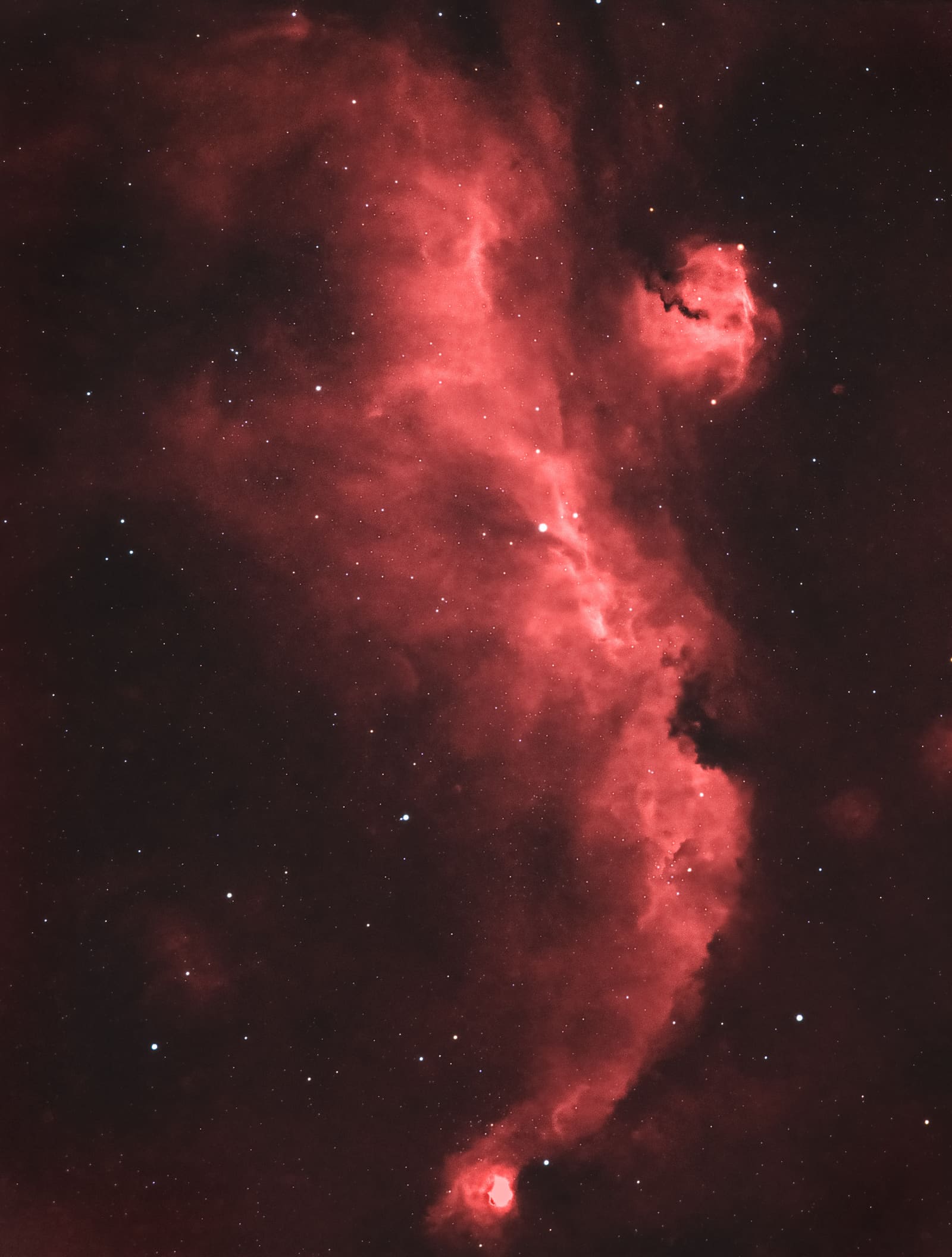 A wide, wing-shaped red nebula with a brighter cloud region toward the bottom of the frame.