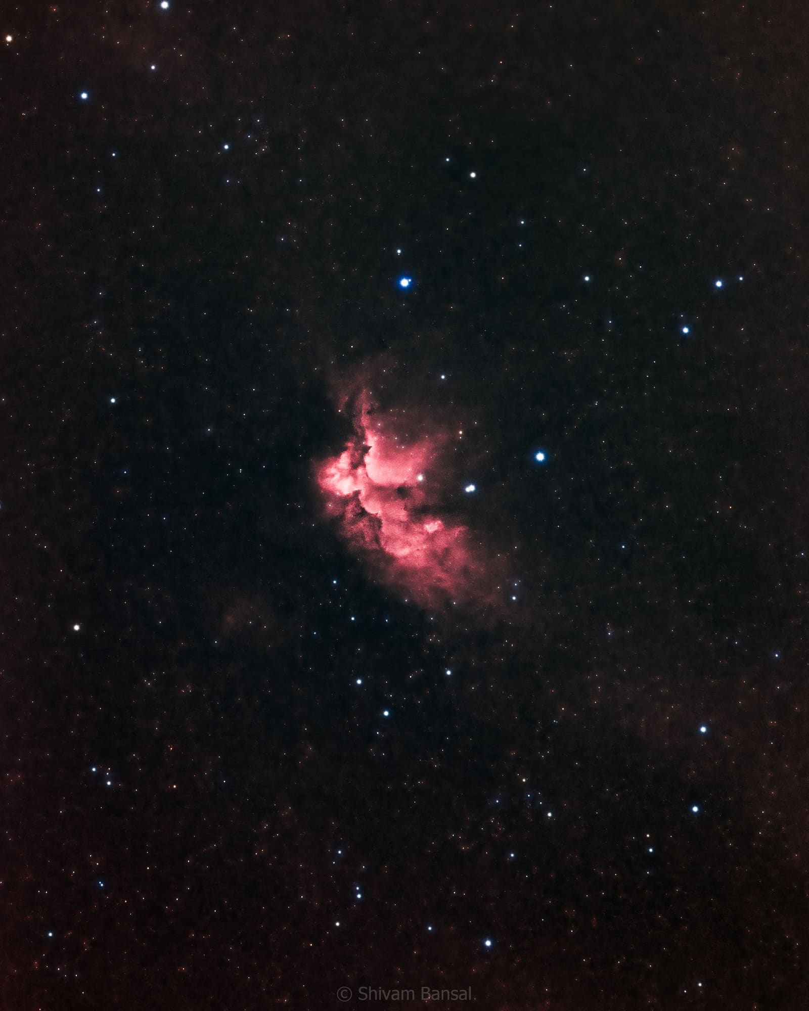 An irregular patch of pink and red nebulosity with a cluster of bright stars near its center, set against a dense starfield.