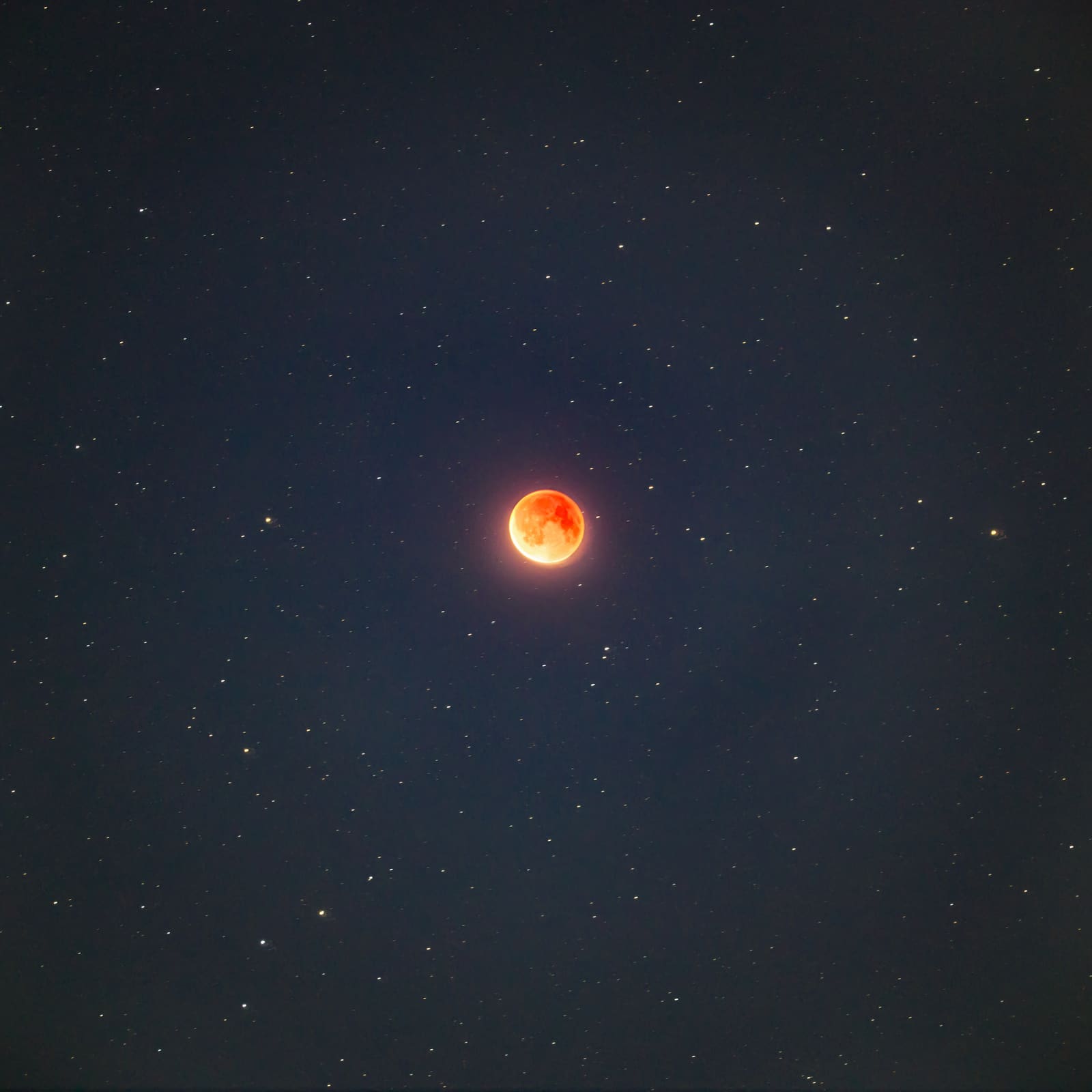 A small dark red eclipsed moon surrounded by a dense field of stars against a dark blue night sky.