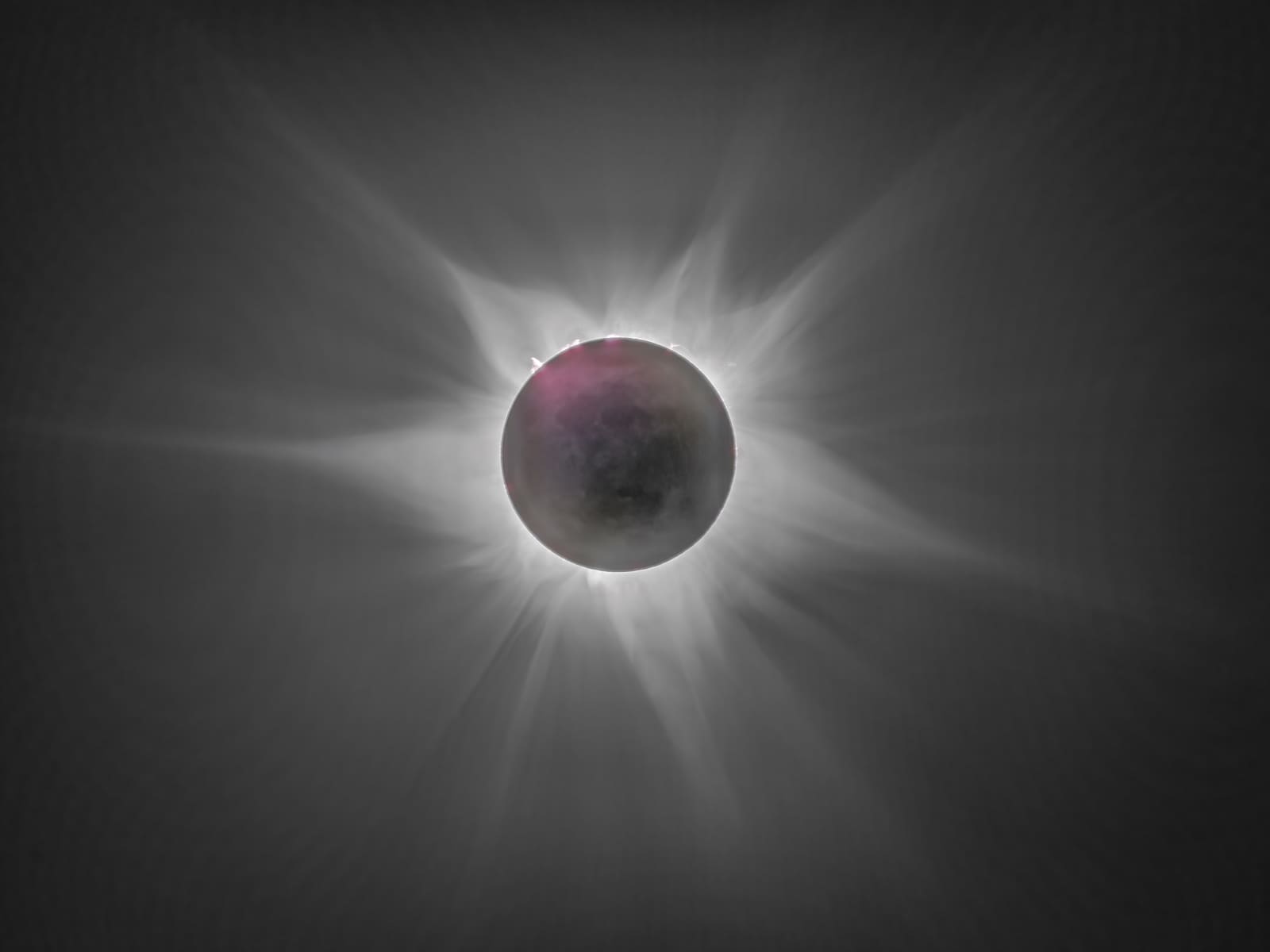 A black solar disc surrounded by wispy white corona streamers, with small pink prominences visible at the edge.