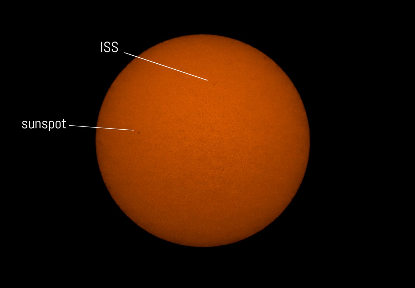 Orange solar disc with two text labels and pointer lines, one identifying a tiny ISS silhouette and the other a dark sunspot.
