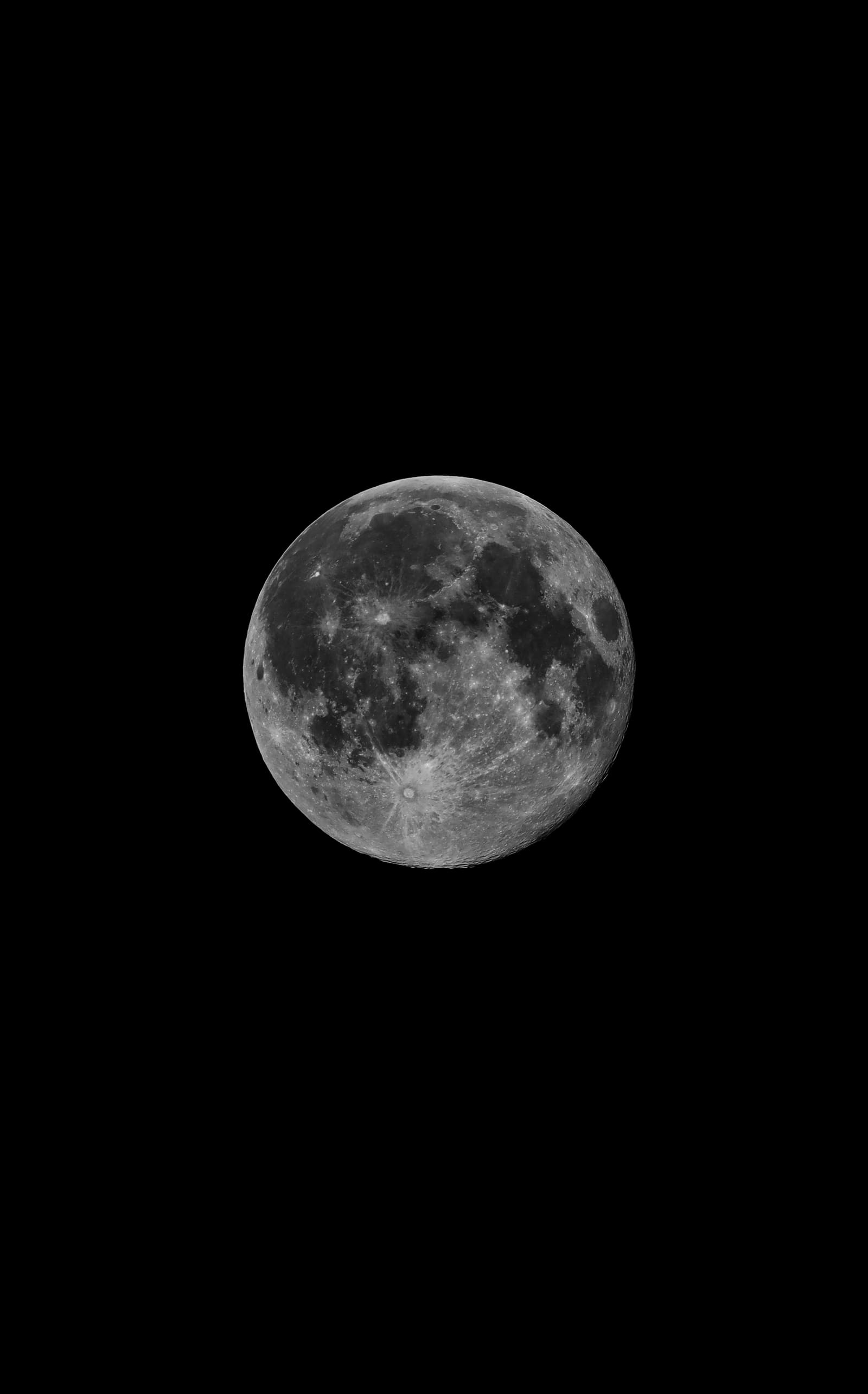 A bright full moon in grey monochrome tones showing mare patterns across its surface, framed in a vertical crop.