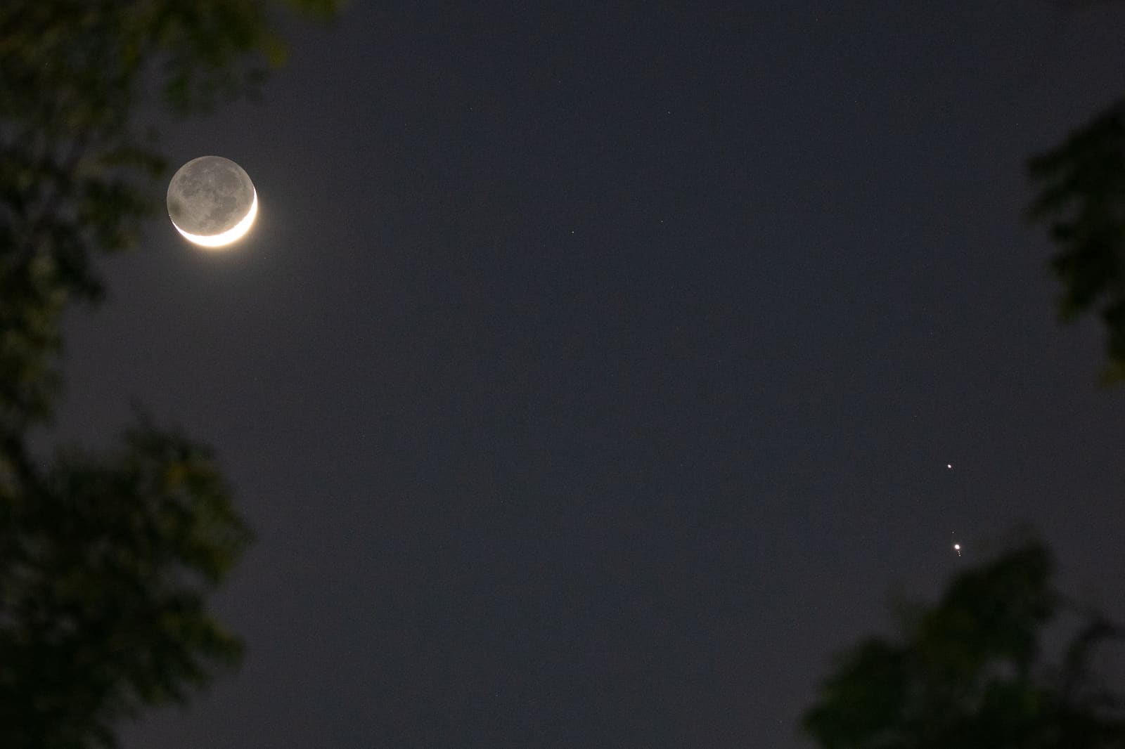 Night sky photograph of a crescent moon showing earthshine on the left and two bright points of light, Jupiter and Saturn, on the right, framed by dark tree branches.