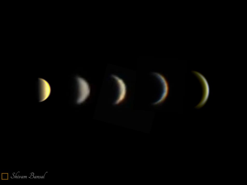 Five side-by-side telescopic images of Venus showing its phase changing from gibbous to a thin crescent while its apparent size grows.