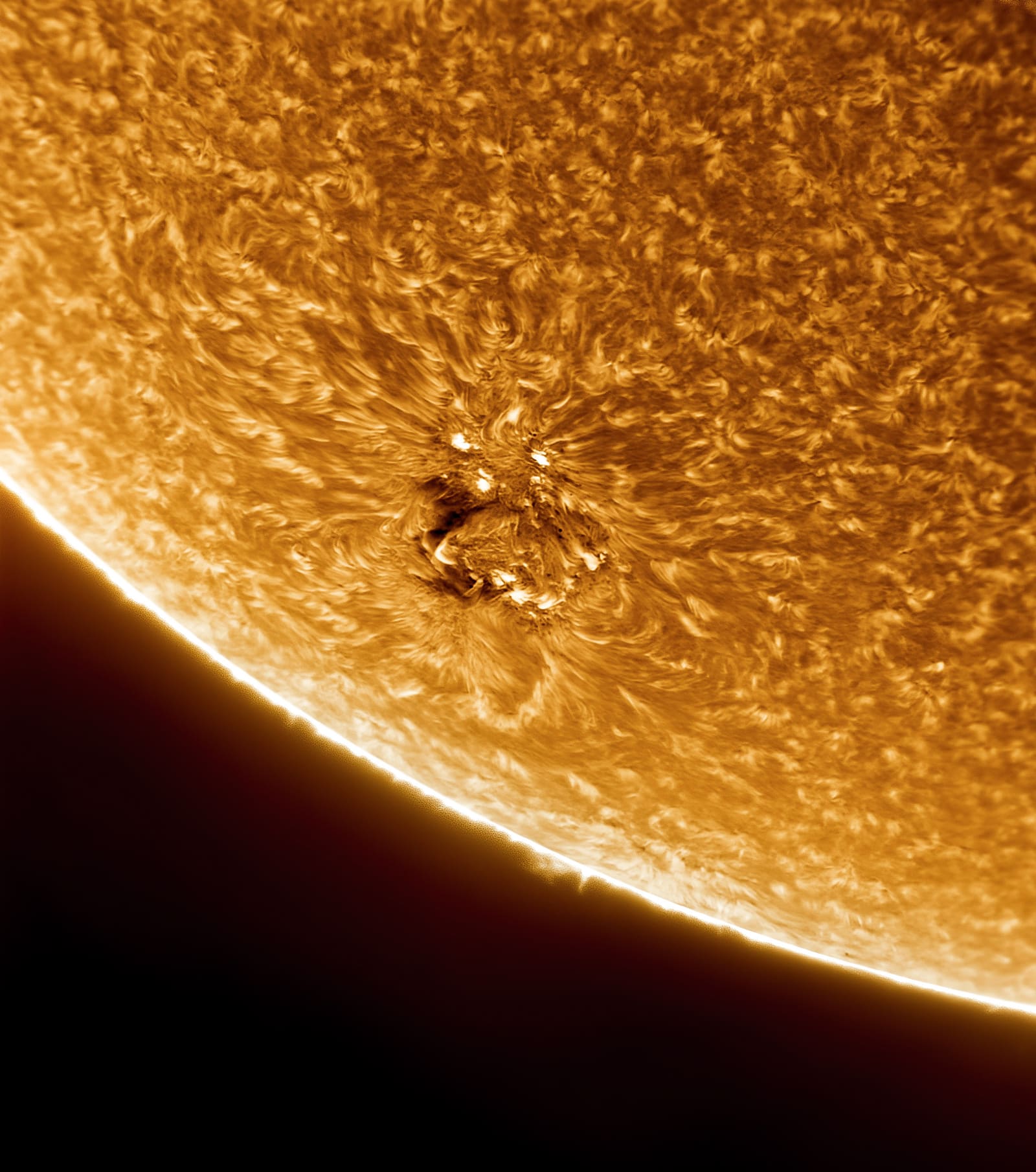 Close-up H-alpha image of a dark sunspot surrounded by bright radiating faculae and fine fibril patterns on the sun's chromosphere, with the limb visible below.