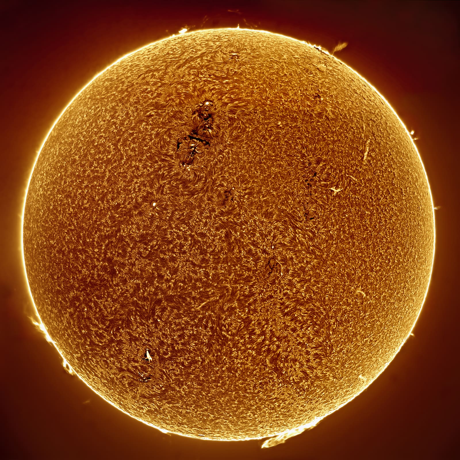 Full-disc H-alpha image of a highly active sun with multiple dark sunspot groups scattered across the surface and numerous small prominences visible all around the limb.