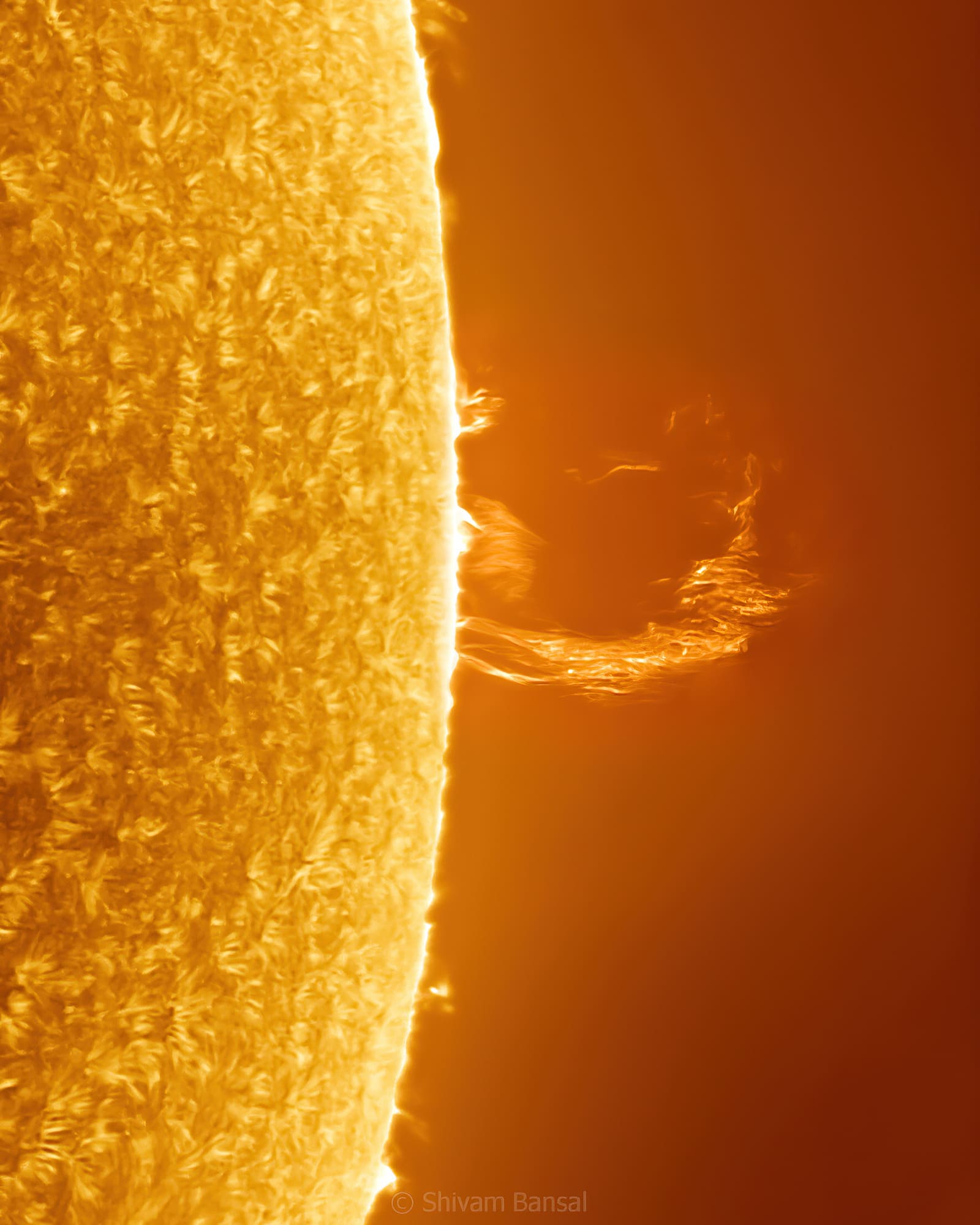 H-alpha telescope image of a bright, hook-shaped solar prominence arcing above the sun's limb, with granular chromosphere visible on the disc.
