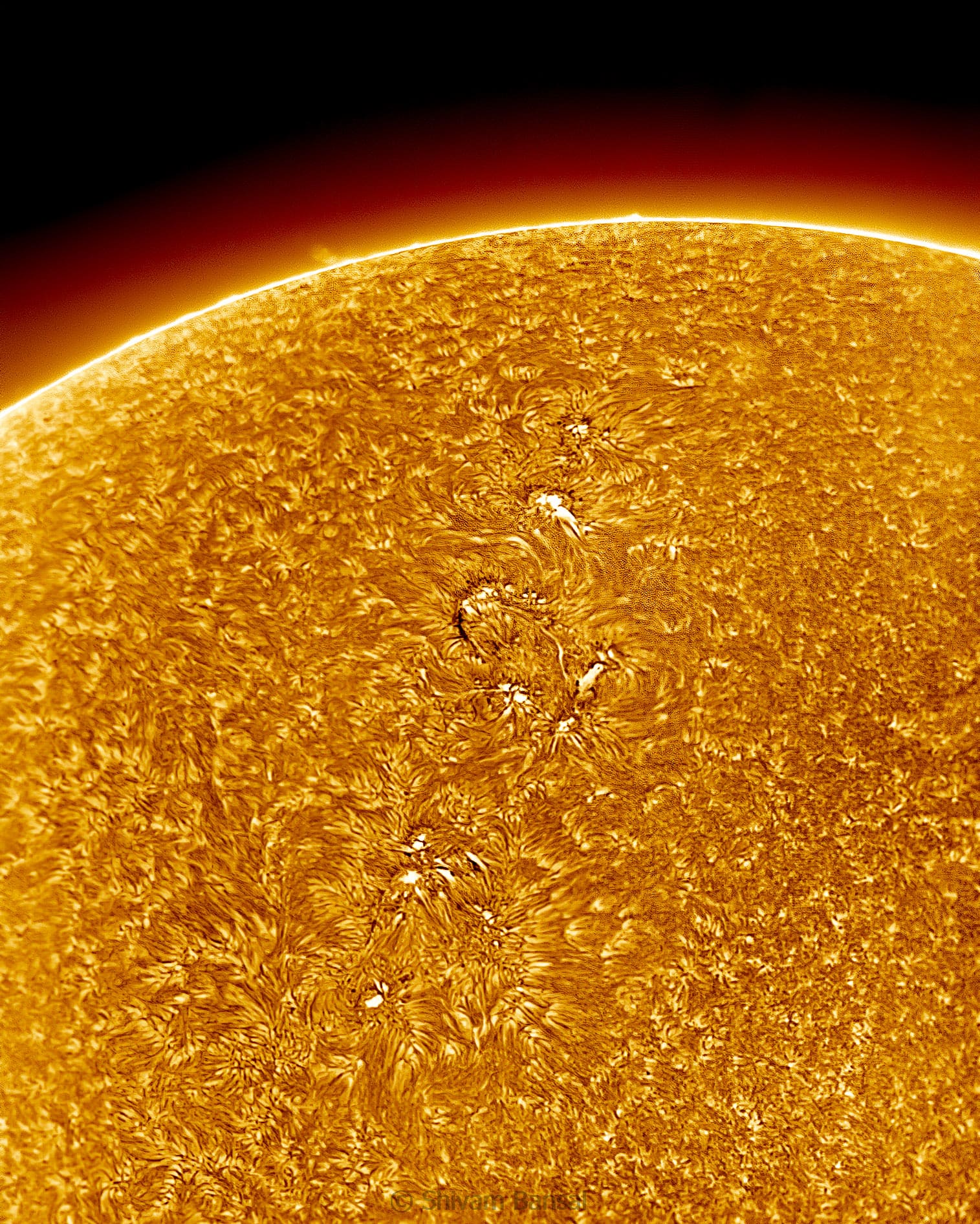 H-alpha image of several sunspot groups with dark cores and swirling fibril patterns spread across the sun's granulated chromosphere, with the bright limb curving at the edge.