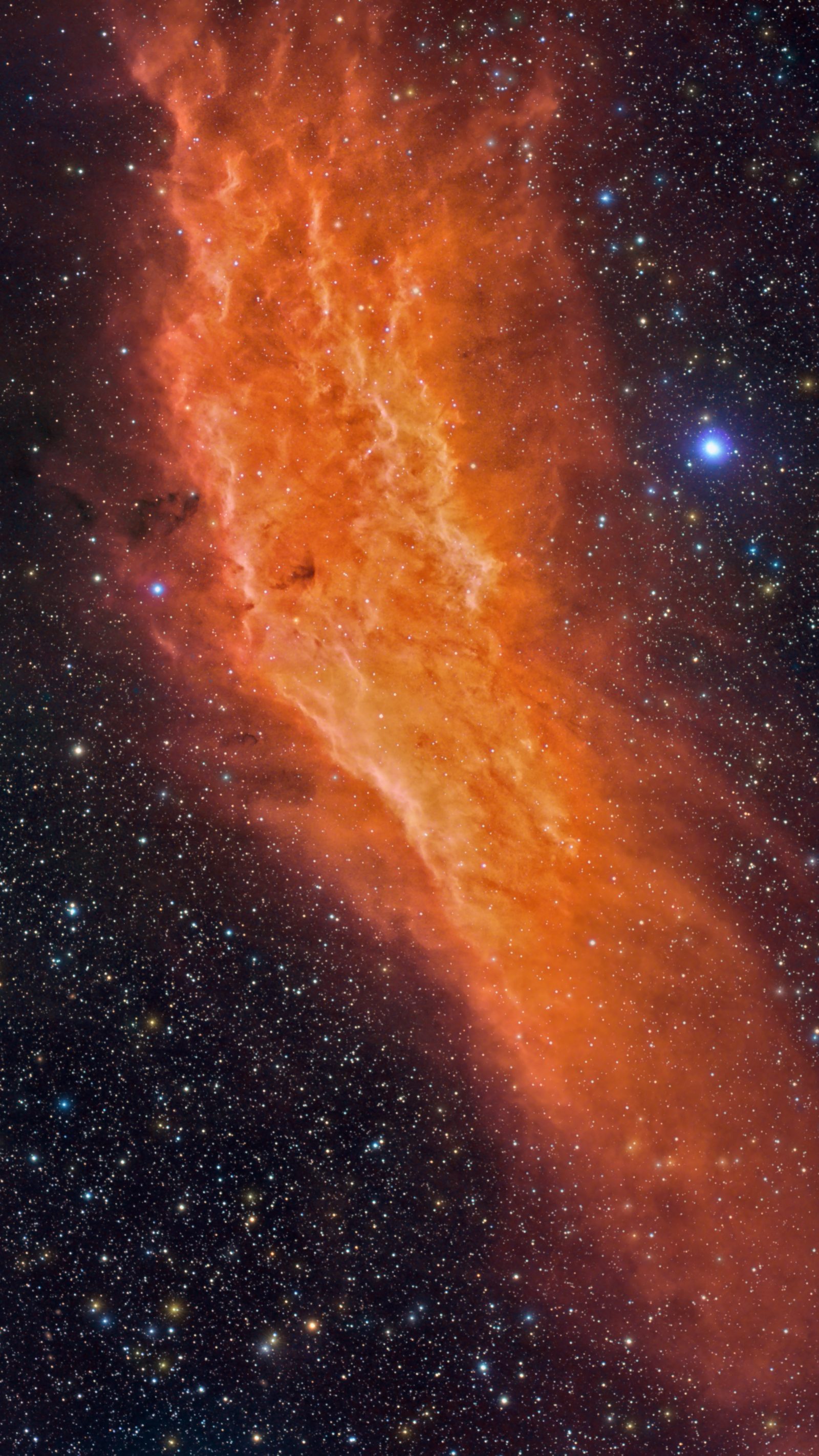 NGC 1499, the California Nebula, in narrowband color.