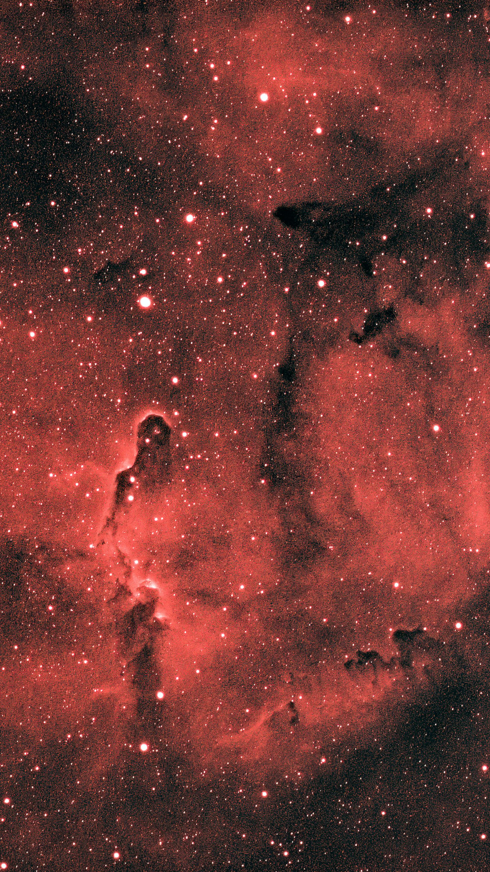 IC 1396, the Elephant's Trunk Nebula, in narrowband color.