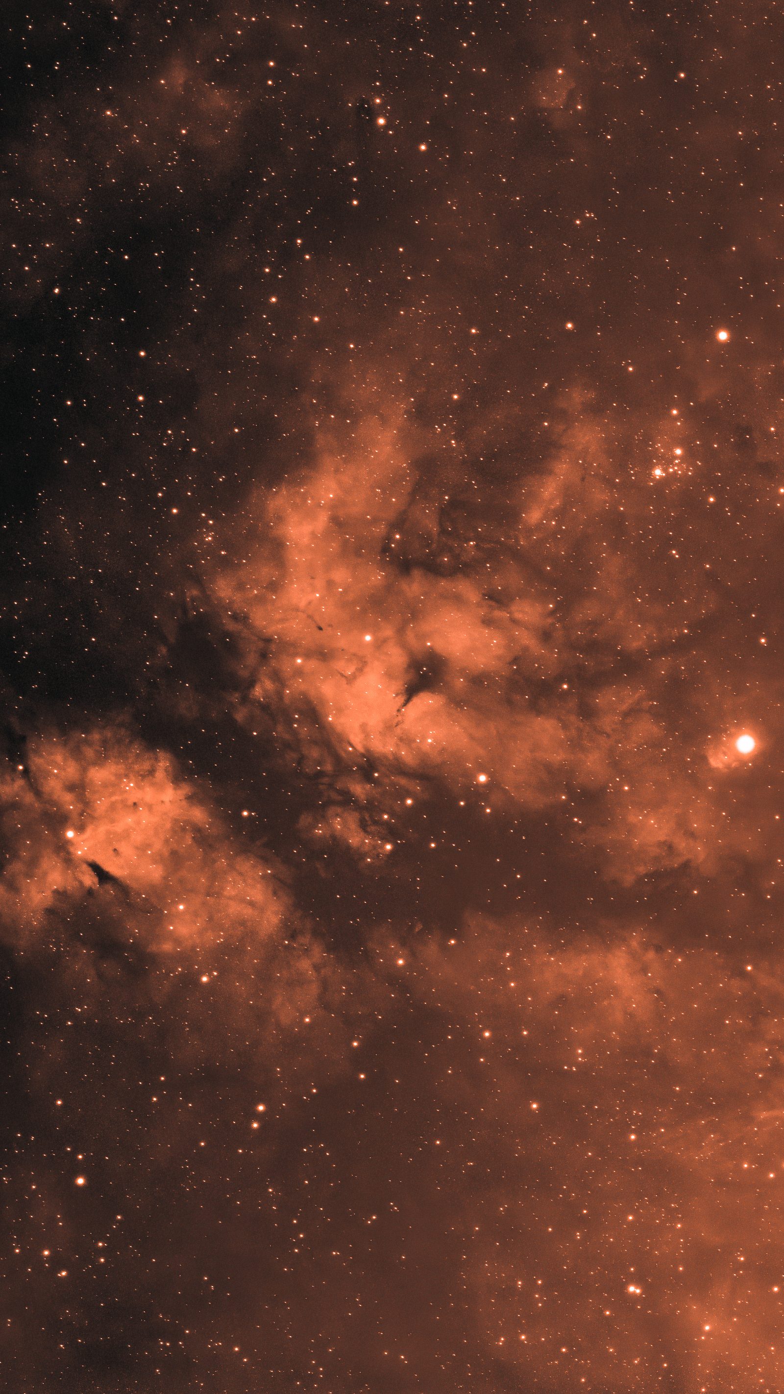 The nebulosity surrounding Gamma Cygni, in the constellation Cygnus.