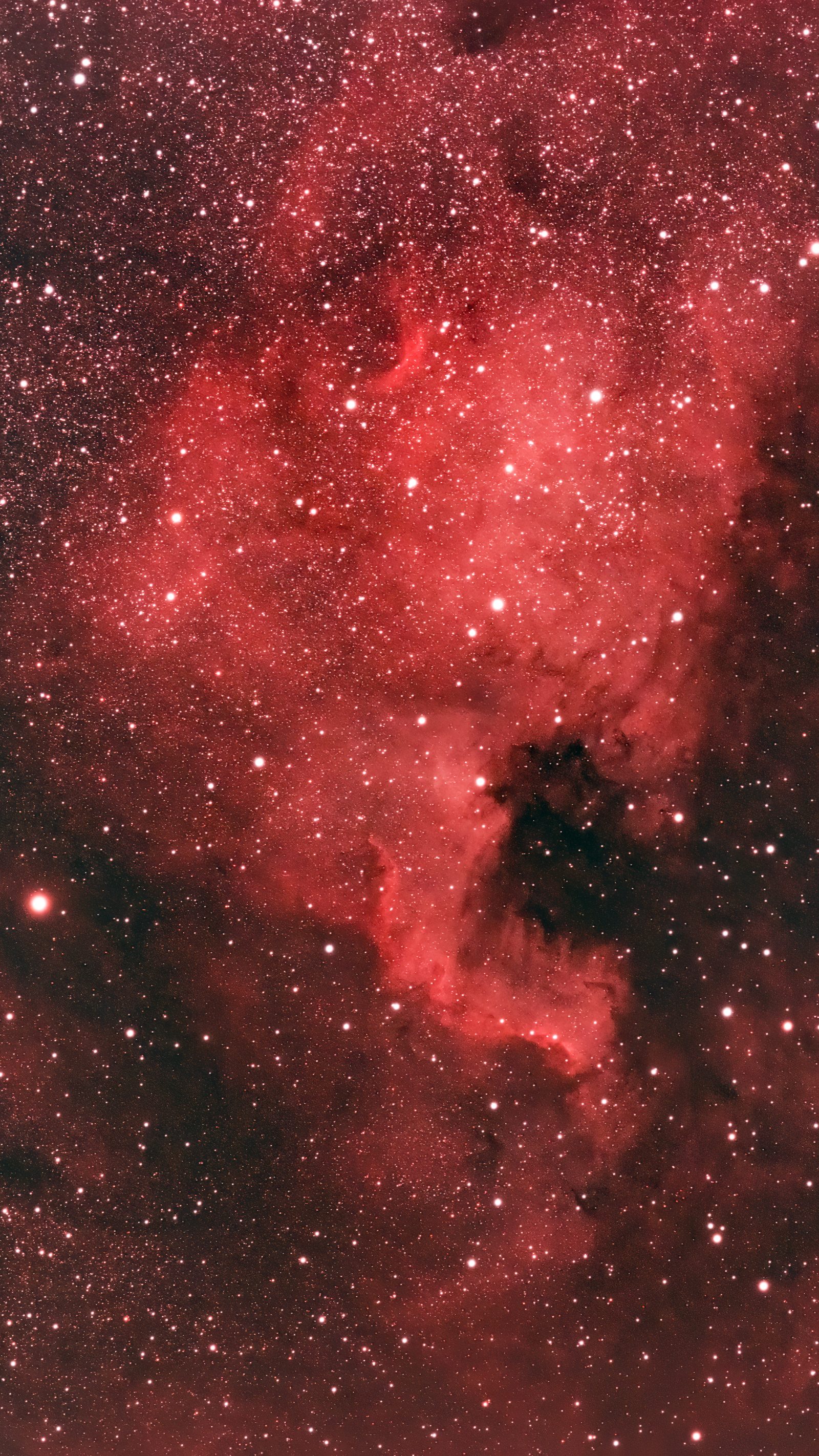 NGC 7000, the North America Nebula, in narrowband color.