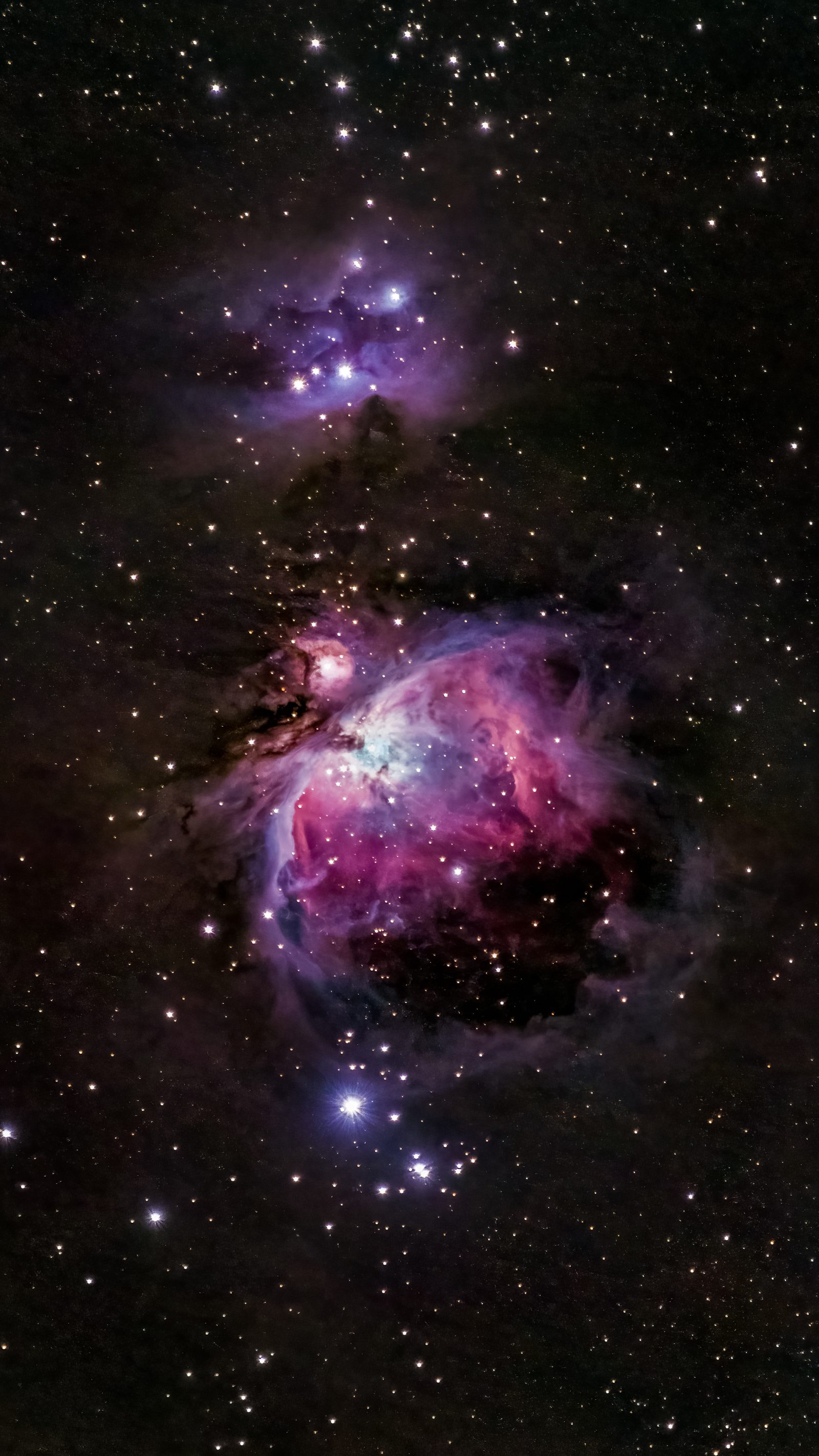M42, the Orion Nebula, one of the brightest nebulae in the night sky.