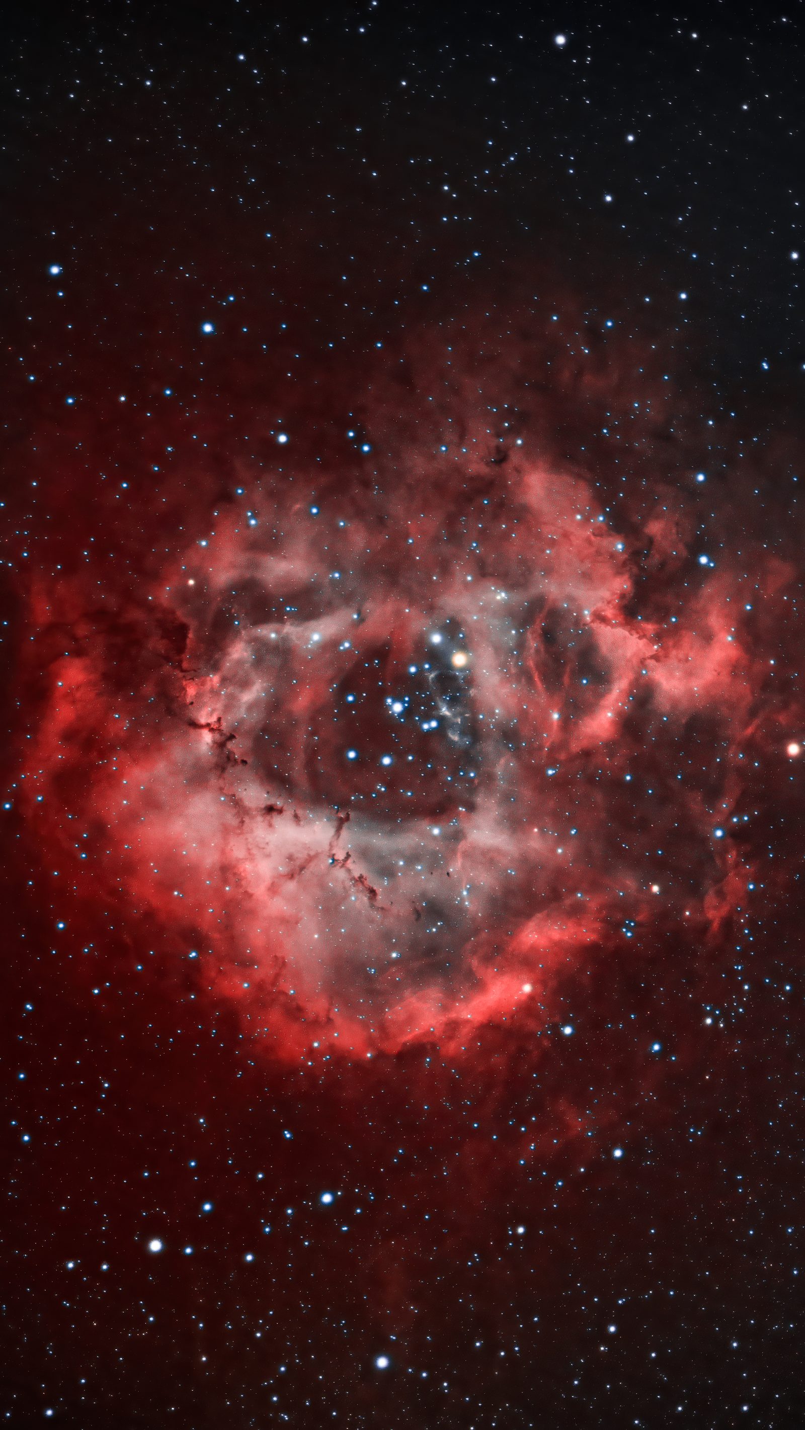 NGC 2237, the Rosette Nebula, in narrowband color.