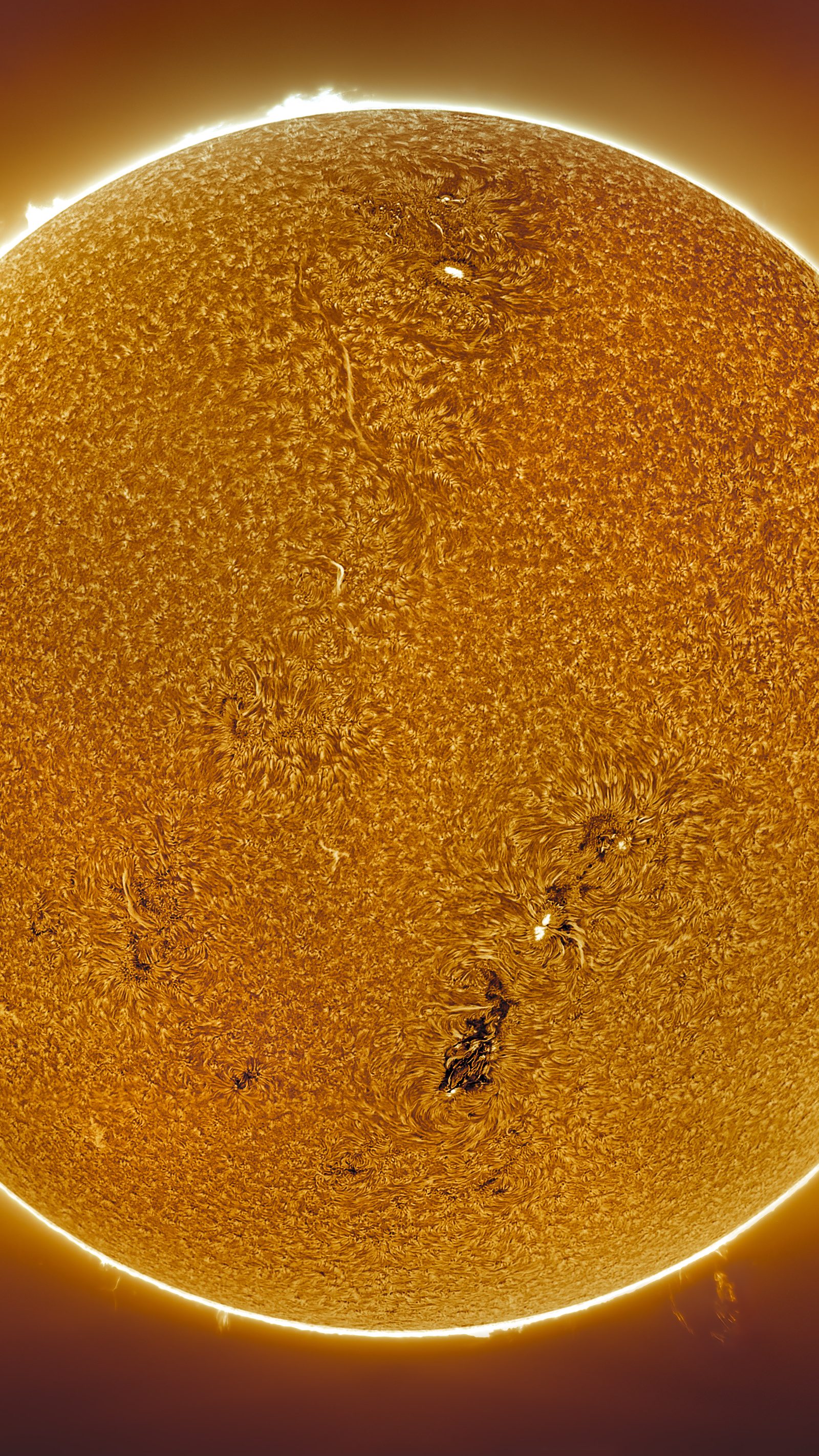 A full-disc view of the Sun, captured 30 March 2022.