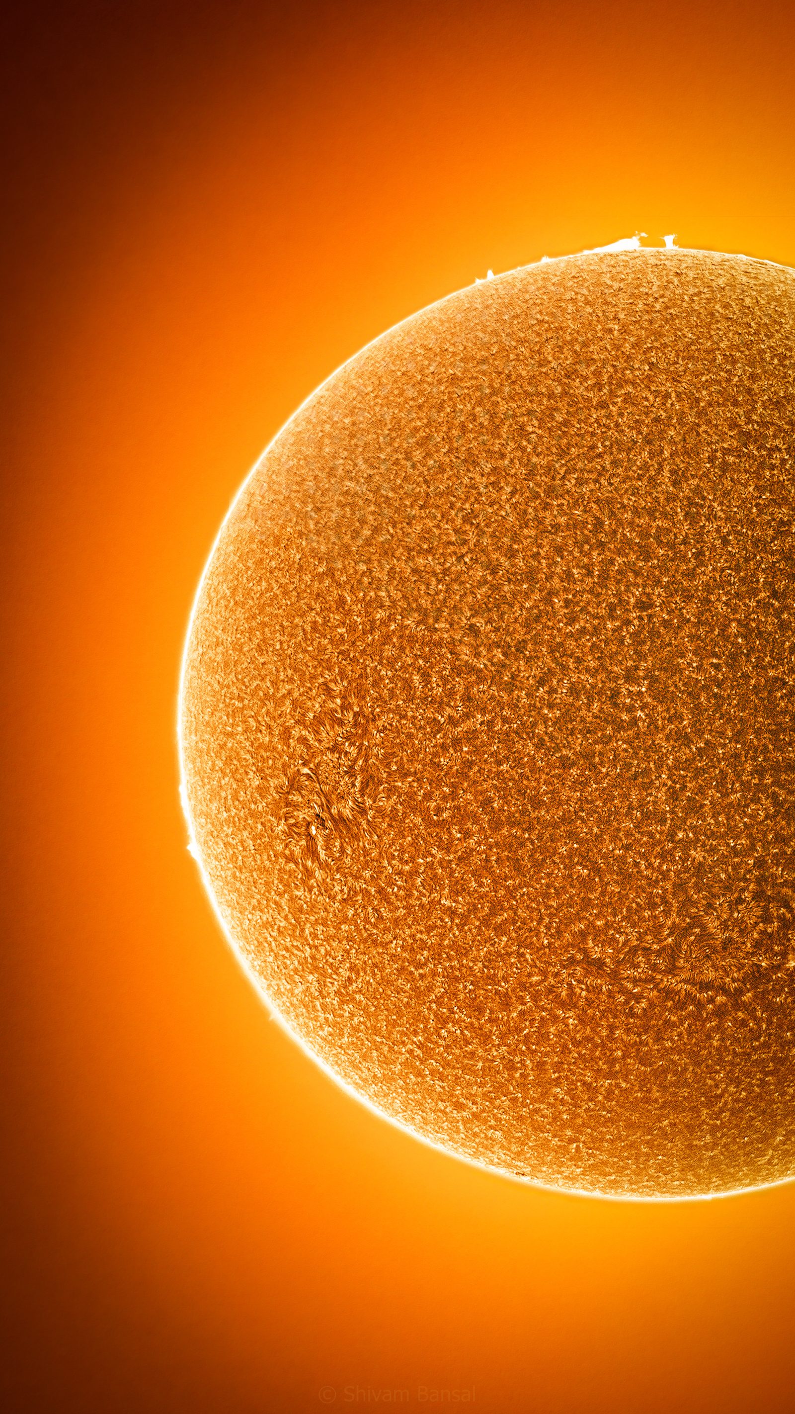 A full-disc view of the Sun, captured 14 November.